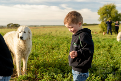 October 2020 / KIEGGS_201020_333