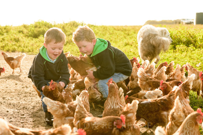 October 2020 / KIEGGS_201020_348