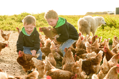 October 2020 / KIEGGS_201020_349