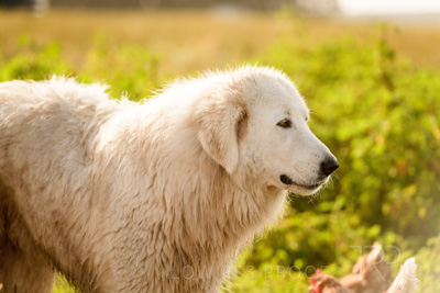 October 2020 / KIEGGS_201020_364