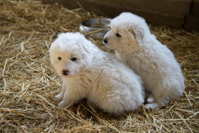 October 2020 / KIEGGS_201020_418