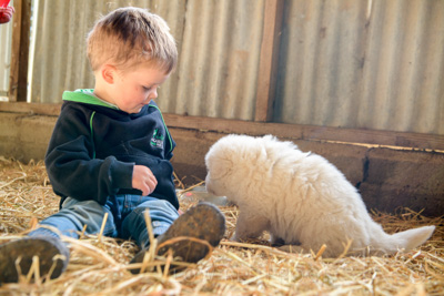 October 2020 / KIEGGS_201020_422