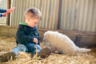 October 2020 / KIEGGS_201020_423