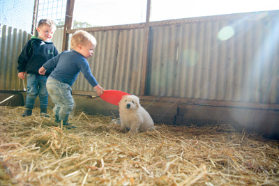 October 2020 / KIEGGS_201020_425