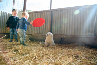 October 2020 / KIEGGS_201020_426