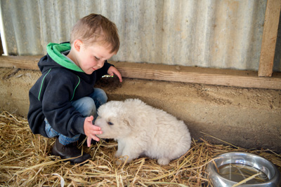 October 2020 / KIEGGS_201020_430