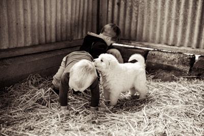 October 2020 / KIEGGS_201020_439