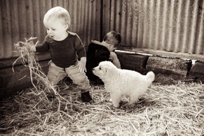 October 2020 / KIEGGS_201020_440