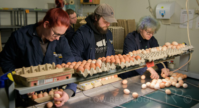 October 2020 / KIEGGS_201020_471