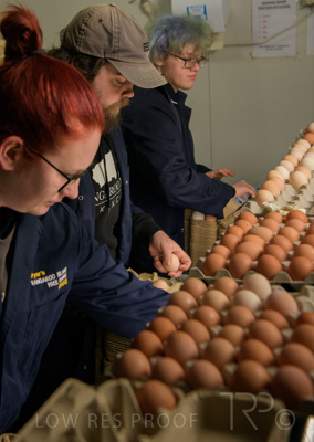 October 2020 / KIEGGS_201020_472