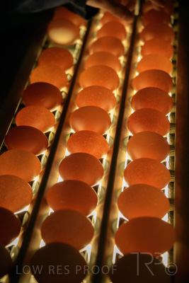 October 2020 / KIEGGS_201020_476