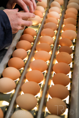 October 2020 / KIEGGS_201020_478