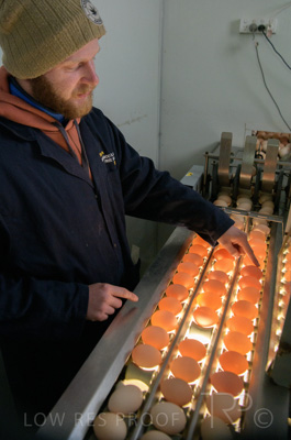 October 2020 / KIEGGS_201020_481