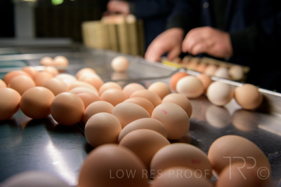 October 2020 / KIEGGS_201020_489