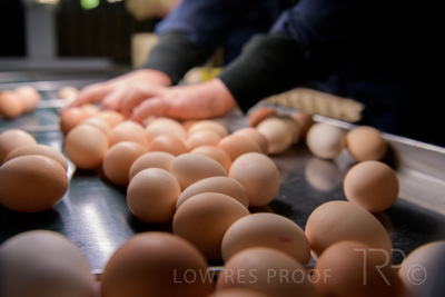 October 2020 / KIEGGS_201020_490