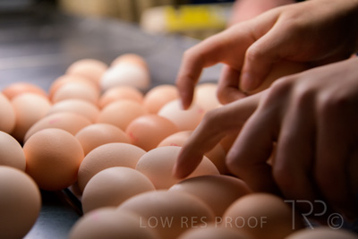 October 2020 / KIEGGS_201020_494