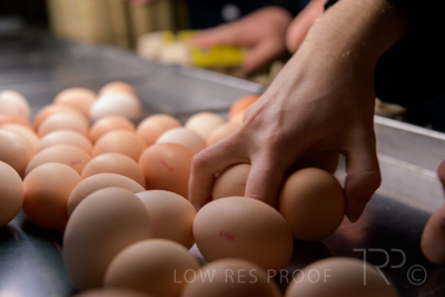 October 2020 / KIEGGS_201020_496