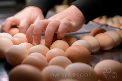 October 2020 / KIEGGS_201020_497