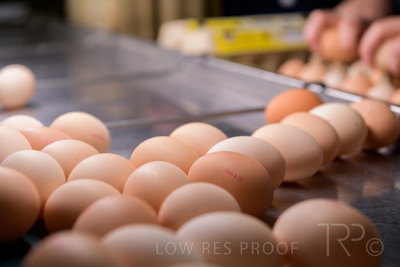 October 2020 / KIEGGS_201020_499