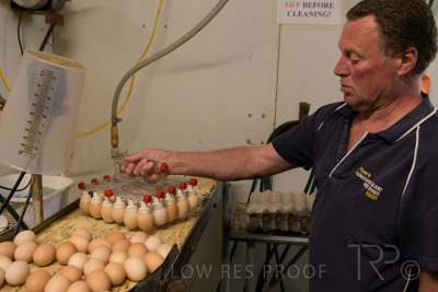 October 2020 / KIEGGS_201020_500