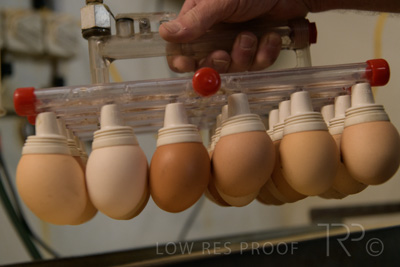 October 2020 / KIEGGS_201020_504