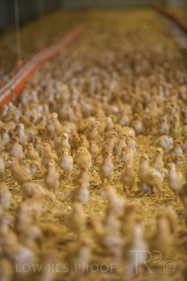 October 2020 / KIEGGS_201020_512