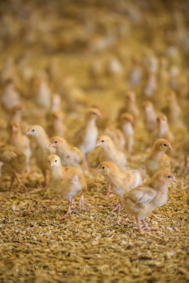 October 2020 / KIEGGS_201020_515