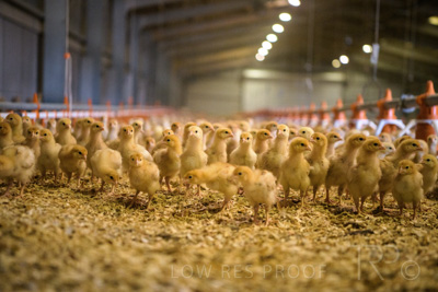 October 2020 / KIEGGS_201020_517