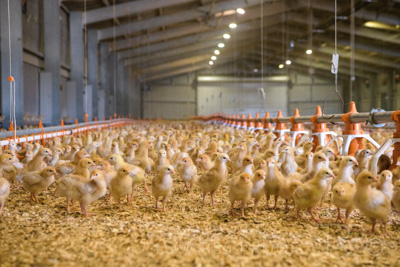 October 2020 / KIEGGS_201020_519