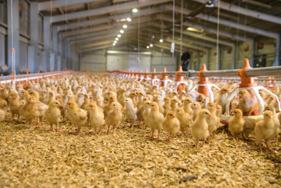 October 2020 / KIEGGS_201020_520