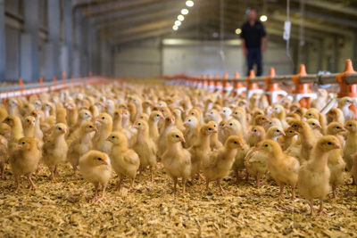 October 2020 / KIEGGS_201020_523