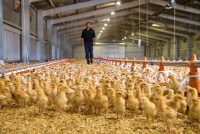 October 2020 / KIEGGS_201020_524