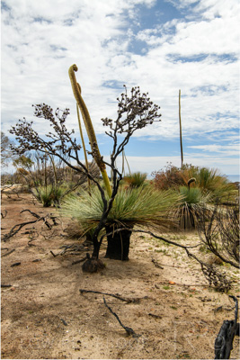 October 2020 / KI-GEN_201020_001-HDR