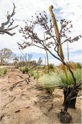 October 2020 / KI-GEN_201020_003-HDR
