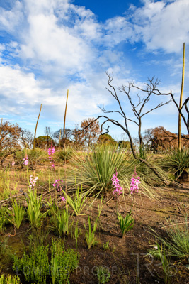 October 2020 / KI-GEN_201020_027-HDR