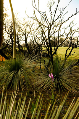 October 2020 / KI-GEN_201020_039