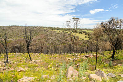 October 2020 / KI-GEN_201020_061-HDR
