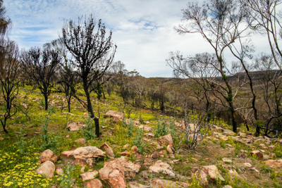 October 2020 / KI-GEN_201020_064-HDR