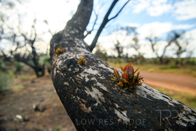 October 2020 / KI-GEN_201020_075-HDR