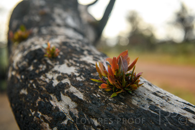 October 2020 / KI-GEN_201020_076-HDR