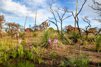October 2020 / KI-GEN_201020_096-HDR