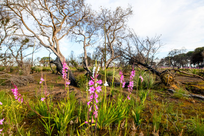 October 2020 / KI-GEN_201020_101-HDR