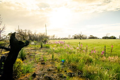 October 2020 / KI-GEN_201020_104-HDR