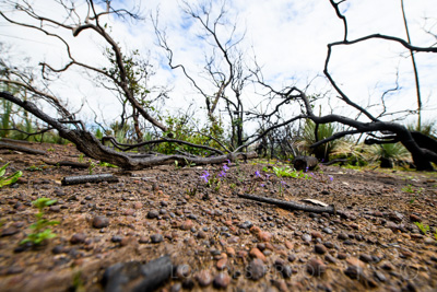 October 2020 / KI-GEN_201021_112-HDR