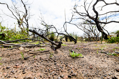 October 2020 / KI-GEN_201021_116