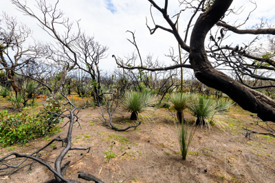 October 2020 / KI-GEN_201021_117