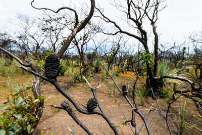 October 2020 / KI-GEN_201021_120