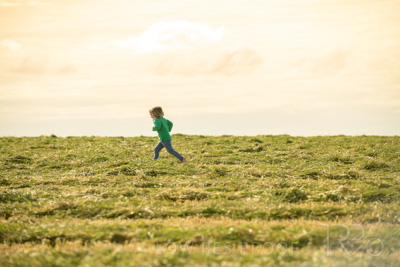 October 2020 / STOWAWAY_201020_033