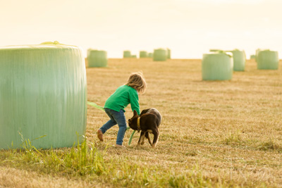 October 2020 / STOWAWAY_201020_110