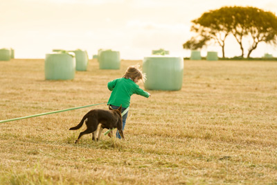 October 2020 / STOWAWAY_201020_113